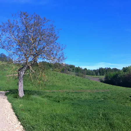 Ben Ti Voglio Farm stay Bologna